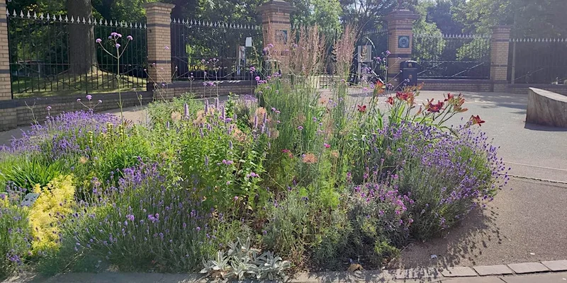 Flower Friday – Volunteer Gardening in Crystal Palace