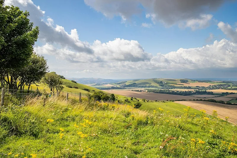 Archaeology Walk, Firle Beacon