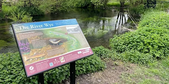 Kingsmead Conservation & River Day