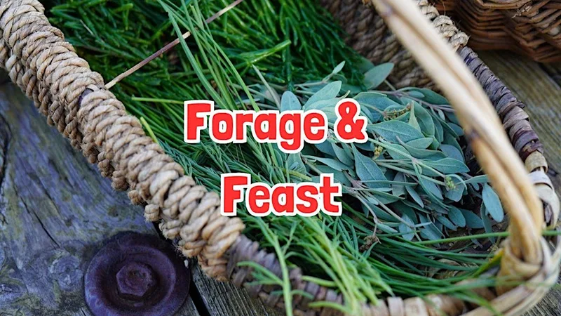 FORAGE & FEAST in Brighton (East Sussex)