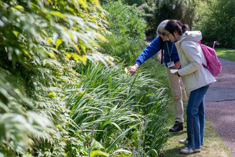 Daily Guided Garden Tours