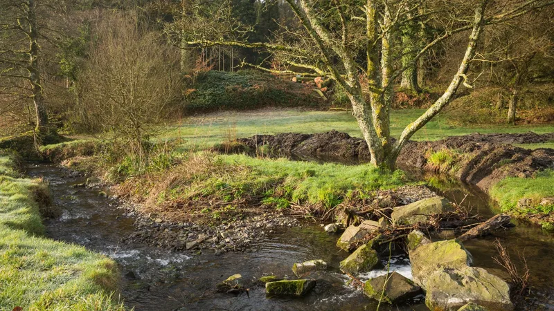 “If these woods could talk” history walks at Colby Woodland Garden