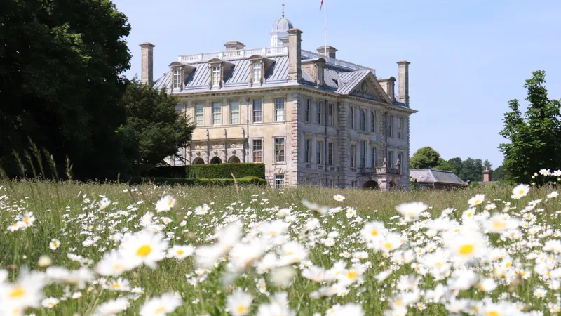 Estate Walk: Pamphill and the Droves