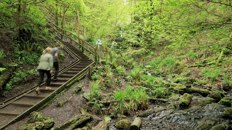 Guided Walk of Lisnabreeny and Cregagh Glen