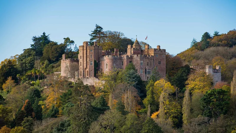 Dunster Castle Experience Days - A Day with the Head Gardener
