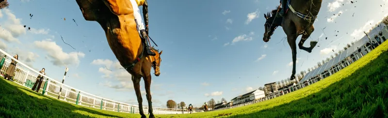 Berkshire Winter Million Day 1 - Royal Windsor Racecourse