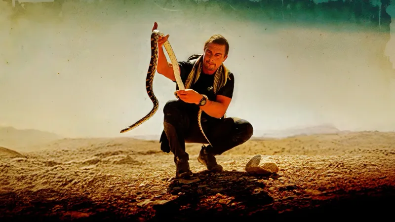 Bear Grylls: Never Give Up