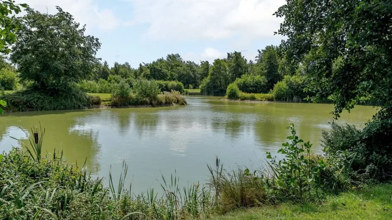 Get Fishing Taster