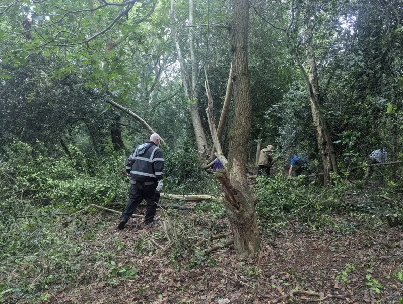 Volunteering @ Dale Coppice